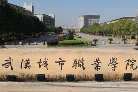 2019武汉城市职业学院单招专业有哪些？