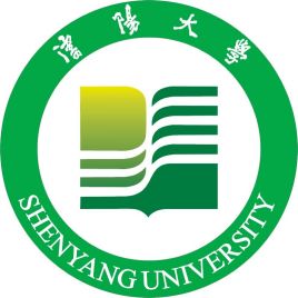 2021沈阳大学中外合作办学分数线（含2019-2020历年）